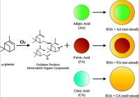 organic aerosols