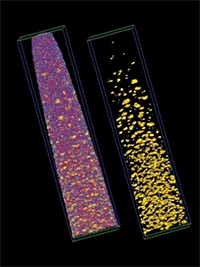 Atom probe tomography results