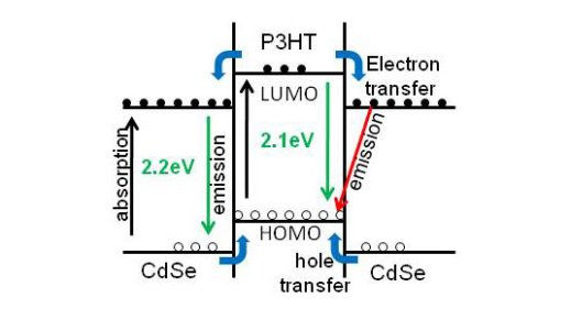 Transfer Mechanistm