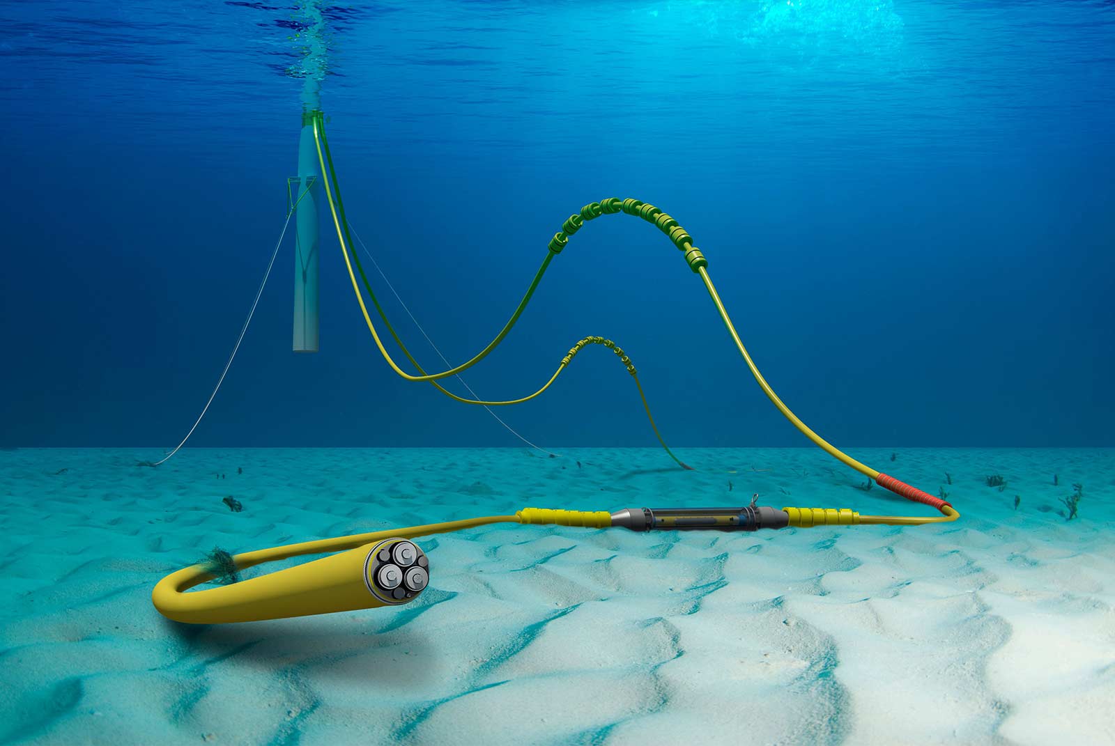 Cable on sea floor