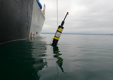 Hydrophone being deployed in Sequim Bay. 
