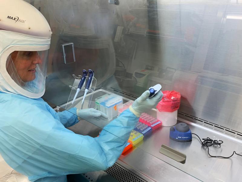 Researcher in protective equipment performing work in a biosafety hood.