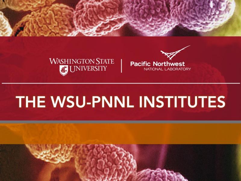 The WSU-PNNL Institutes general banner
