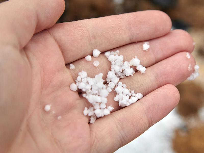 Person holding graupel