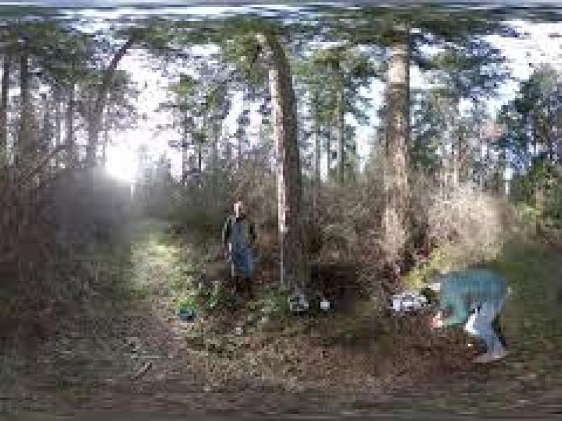 Biochemistry and Tree Core Testing at PNNL-Sequim