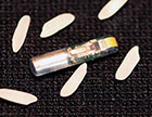 PNNL’s role in environmentally-sustainable hydro power: