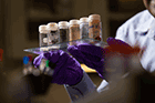 PNNL scientists target dangerous