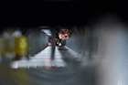 PNNL lighting research makes for a brighter future