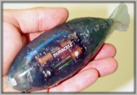 Photo of artificial sensor fish