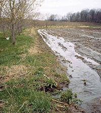 runoff when land saturated