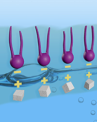 sugary molecules hop aboard floating oily molecules