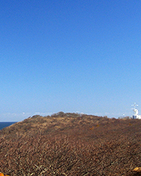 aerosols on Cape Cod