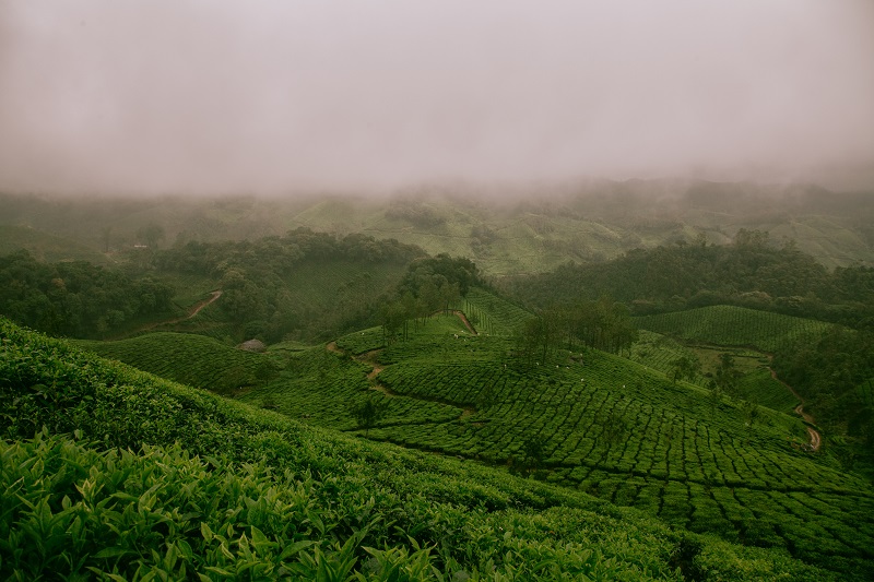 research predicts a shift of tropical rainfall patterns in a warmer world