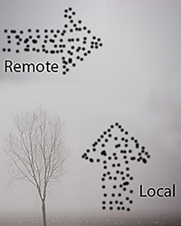 Soot sources
