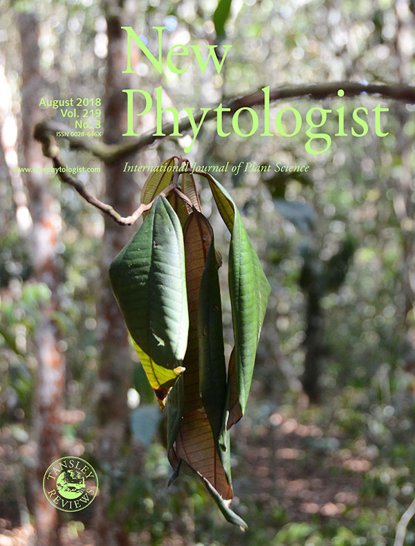 New Phytologist cover