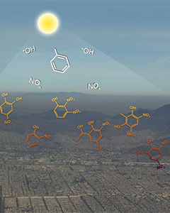 Mexico City brown carbon