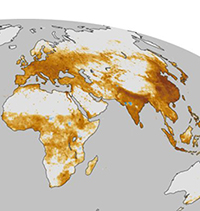 Pollution-caused deaths around the world