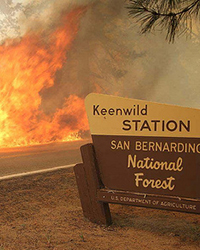 California fire national forest
