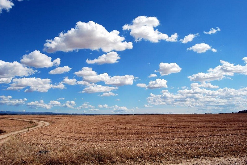 Shallow clouds over land