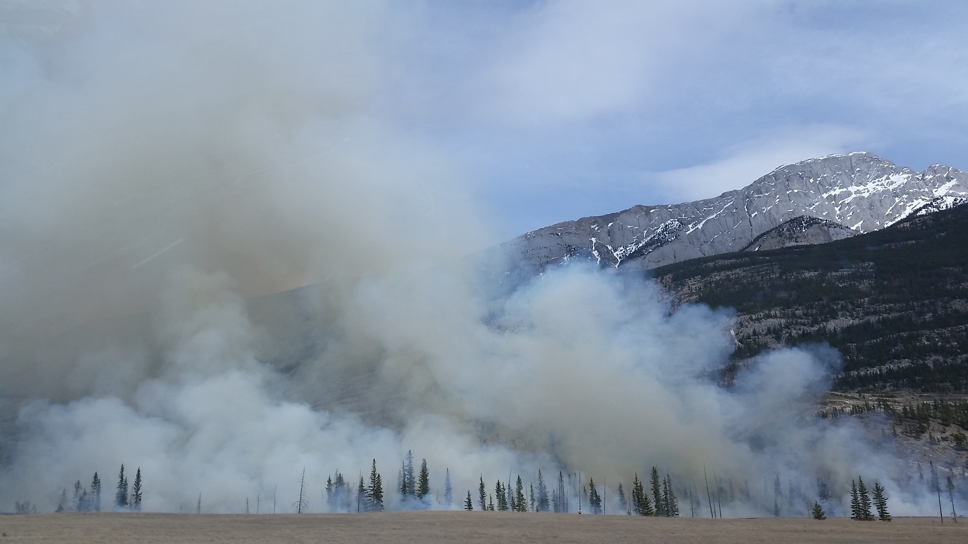 forest burn