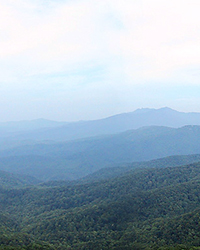 Blue Ridge Mountain haze is isoprene