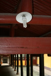 CFL light