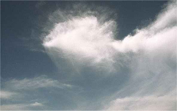 Pnnl Oh The Secrets Ice Crystals Will Tell Pnnl Oh The Secrets Ice Crystals Will Tell