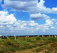 Cotton-Ball Clouds Contained
