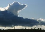 Storm Clouds