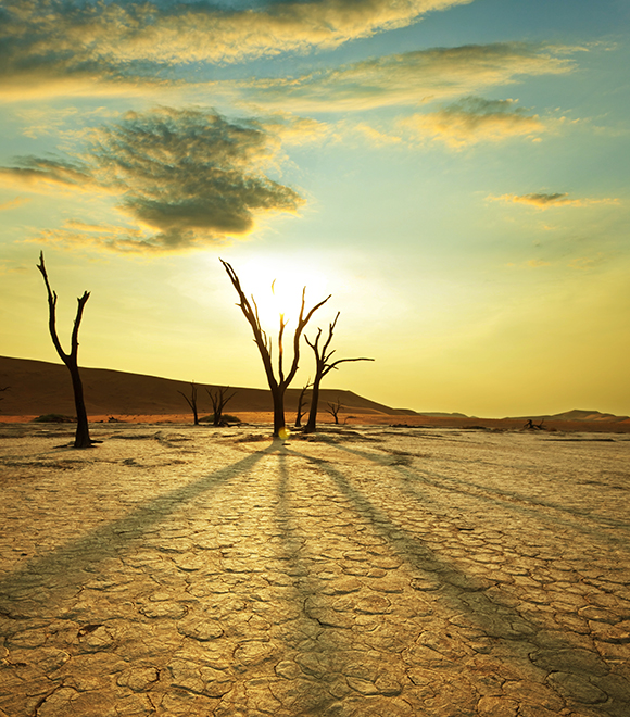 Drought