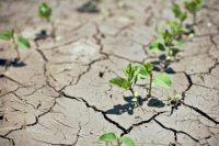 China Drought.