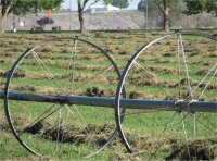 Hay Fields