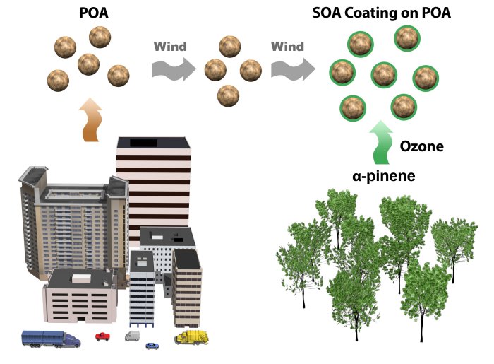 ACP - Not all types of secondary organic aerosol mix: two phases observed  when mixing different secondary organic aerosol types