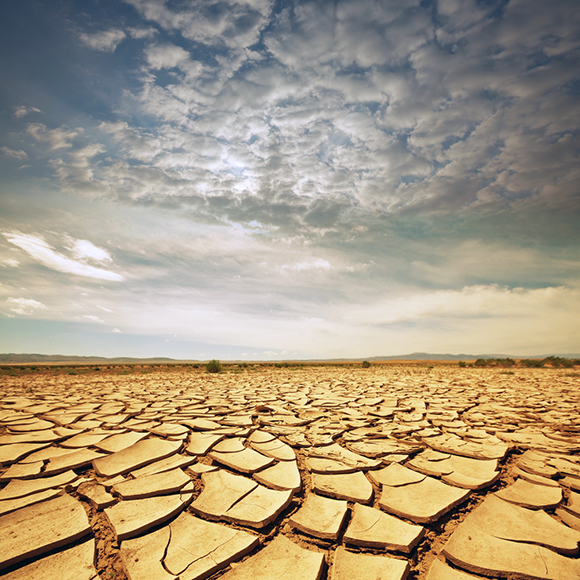 dried landscape
