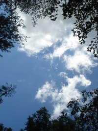 Partly Cloudy