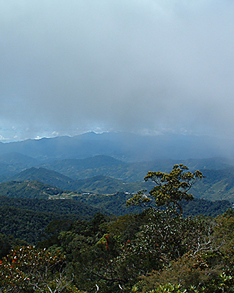 the Madden-Julian oscillation moving over Borneo