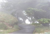 California Point Reyes