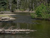 River Stream