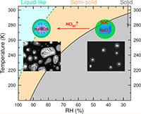 seasalt and SOA as a function of temperature and relative humidity based on CARES