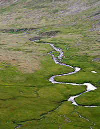 watershed and tributaries graphic