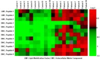 Heat map of data from LC-FTICR MS matched to a human plasma peptide AMT