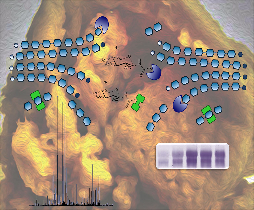 graphic of journal cover