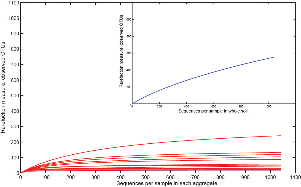 Plot of rarefaction curves