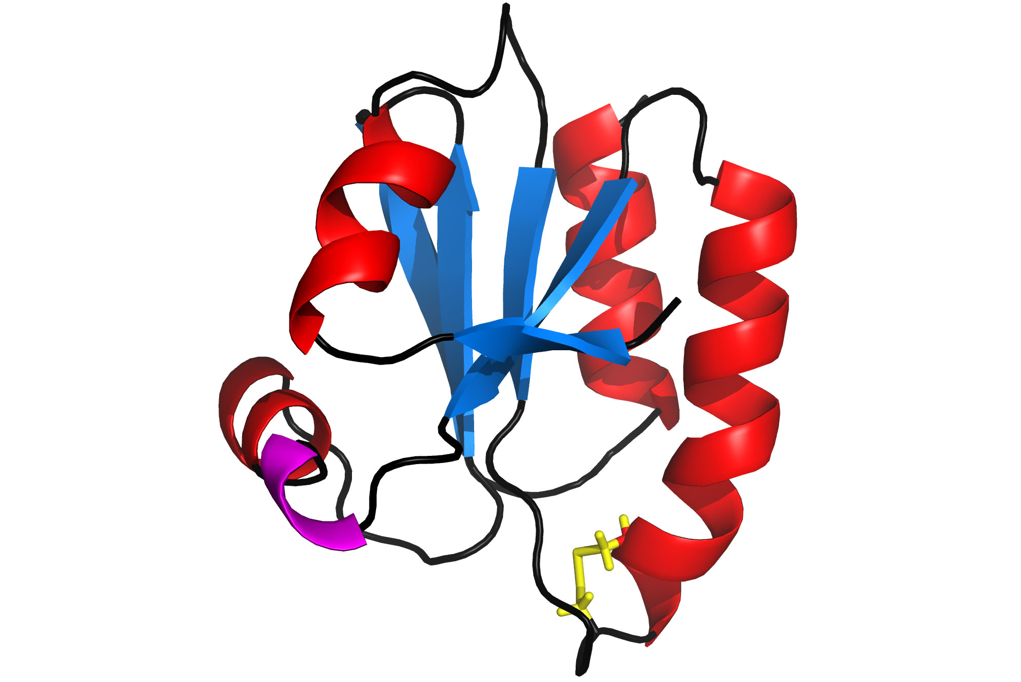 Buchko Protein