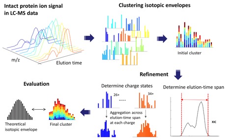 Informed Proteomics