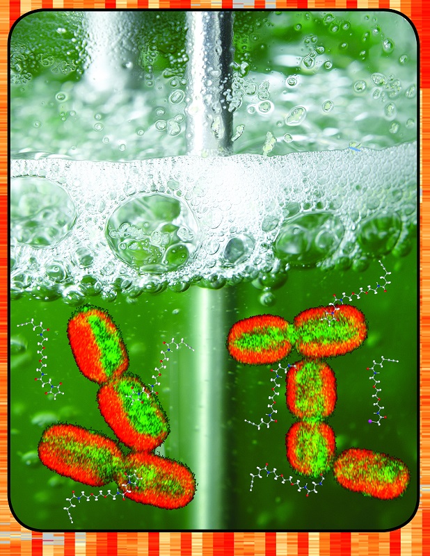 Artistic rendition of cell-permeable chemical probes labeling redox-sensitive cysteine thiols in living <i>Synechococcus</i> sp. PCC7002