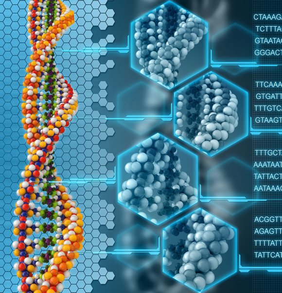 PNNL New Bacteria Divisions Discovered