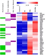 Proteins secreted from HMEC upon treatment with PMA primarily belong to three functional categories: proteolysis, cell signaling, and extracellular matrix.