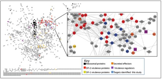 transcriptomic data
