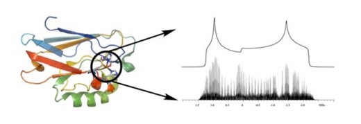 solid-state NMR